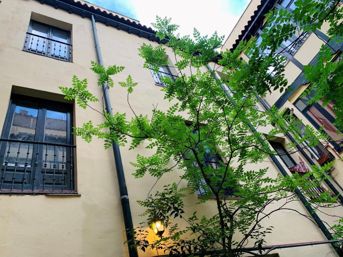 Siete Monos Apartament *
